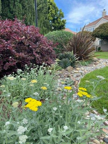 20 Torregata Loop, San Jose, CA 95134