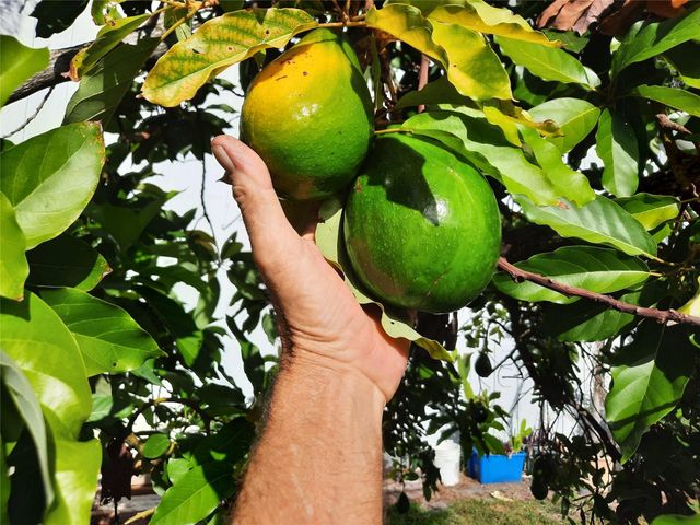 155 31st Avenue, Vero Beach, FL 32968