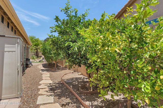 61648 E Ironwood Lane, Tucson, AZ 85739