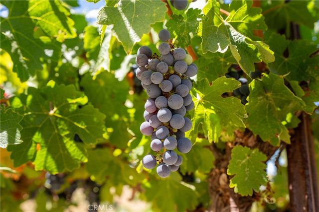 725 Spring Creek Way, Templeton, CA 93465