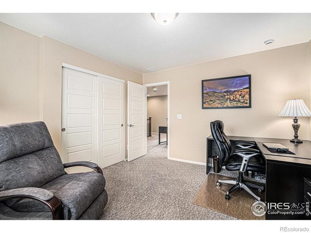 5622 Foxfire Street, Timnath, CO 80547