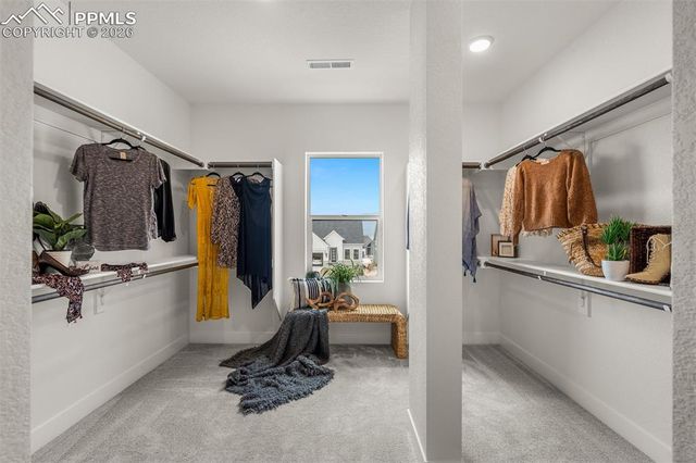 17137 Alsike Clover Court, Monument, CO 80132