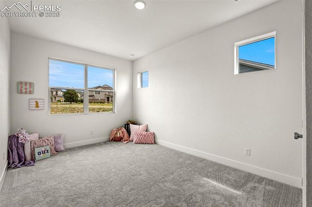 17137 Alsike Clover Court, Monument, CO 80132