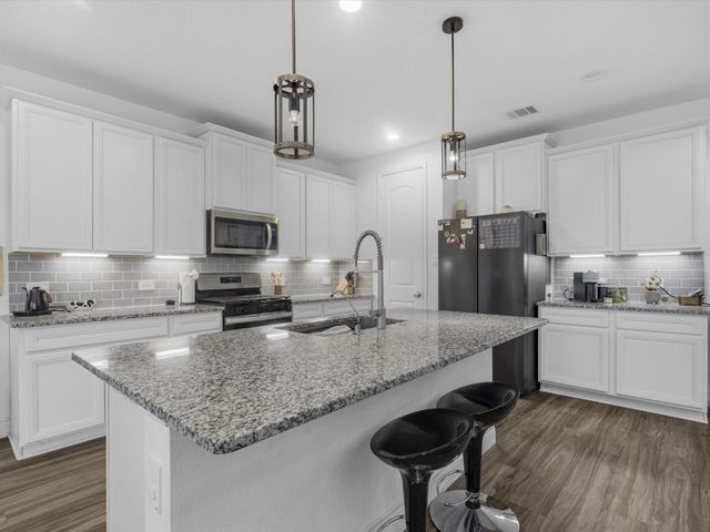 20156 Bushwick Falls Drive, Montgomery, TX 77316