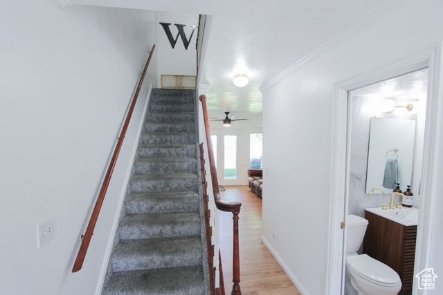 239 E 1530 N, North Logan, UT 84341