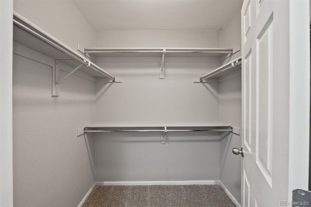 431 Black Feather Loop 813, Castle Rock, CO 80104