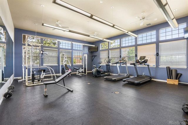 431 Black Feather Loop 813, Castle Rock, CO 80104