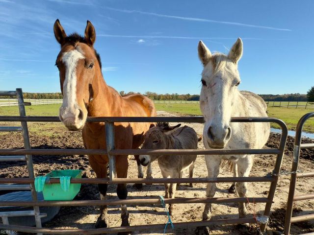 3337 Old Carolina Rd. RD, Virginia Beach, VA 23457