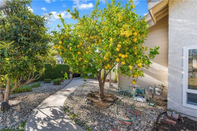 758 Avenida Loma Portal, Newbury Park, CA 91320