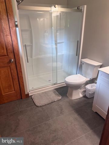 294 MINE HILL RD, Kintnersville, PA 18930