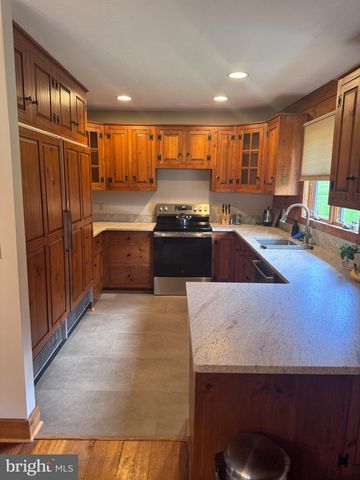 294 MINE HILL RD, Kintnersville, PA 18930