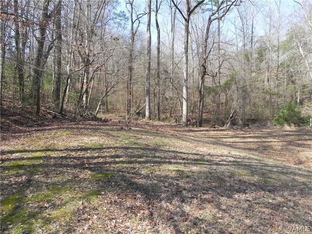 7884 S Hwy 171, Fayette, AL 35555