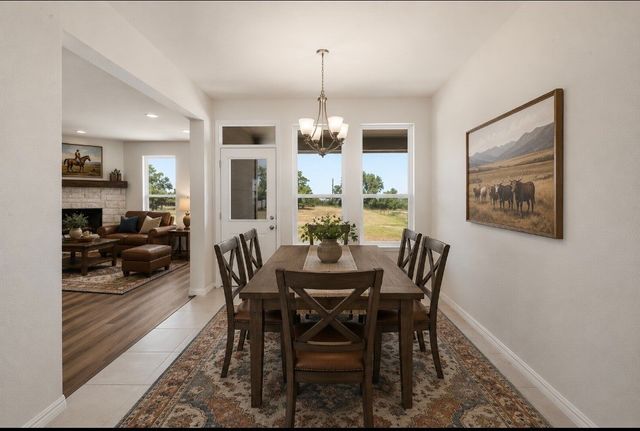 1009 Northern Oaks Court, Springtown, TX 76082