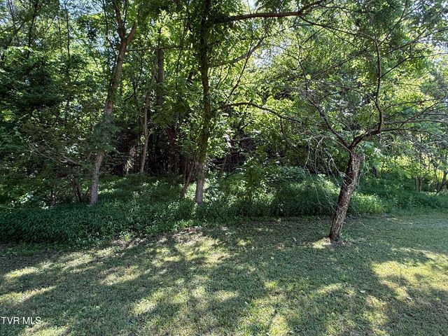 401 Spring Street, Jonesborough, TN 37659
