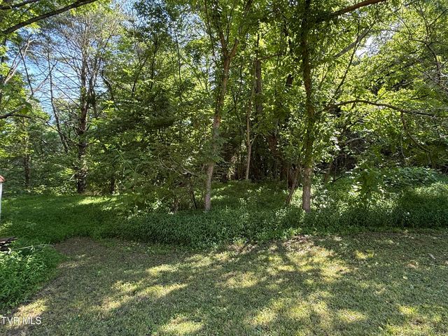 401 Spring Street, Jonesborough, TN 37659