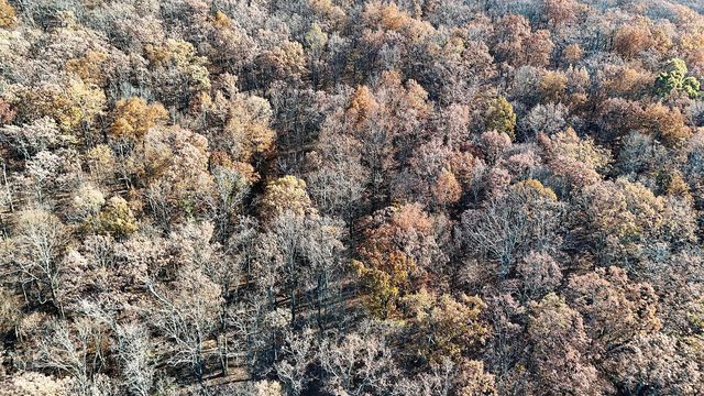 0 Sussex Lot 18 Road, Dayton, TN 37321