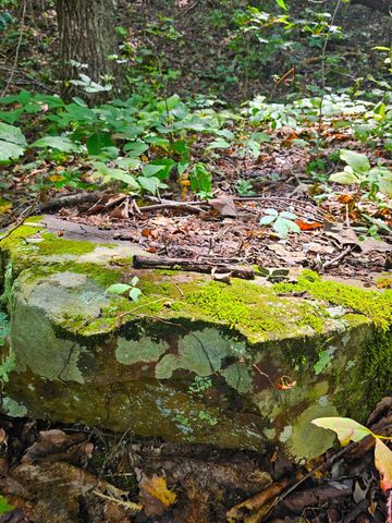 0 Sussex Lot 18 Road, Dayton, TN 37321
