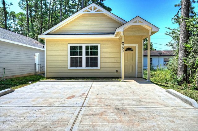 9751 Black Gum, Willis, TX 77318