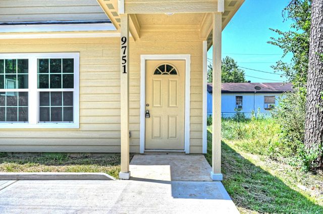 9751 Black Gum, Willis, TX 77318