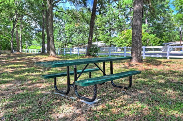 9751 Black Gum, Willis, TX 77318