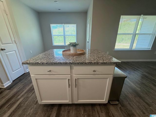 6916 BRANDI CIRCLE, Pinson, AL 35126