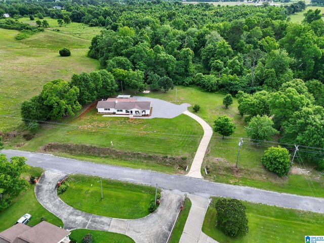 257 COUNTY ROAD 13, Clanton, AL 35045