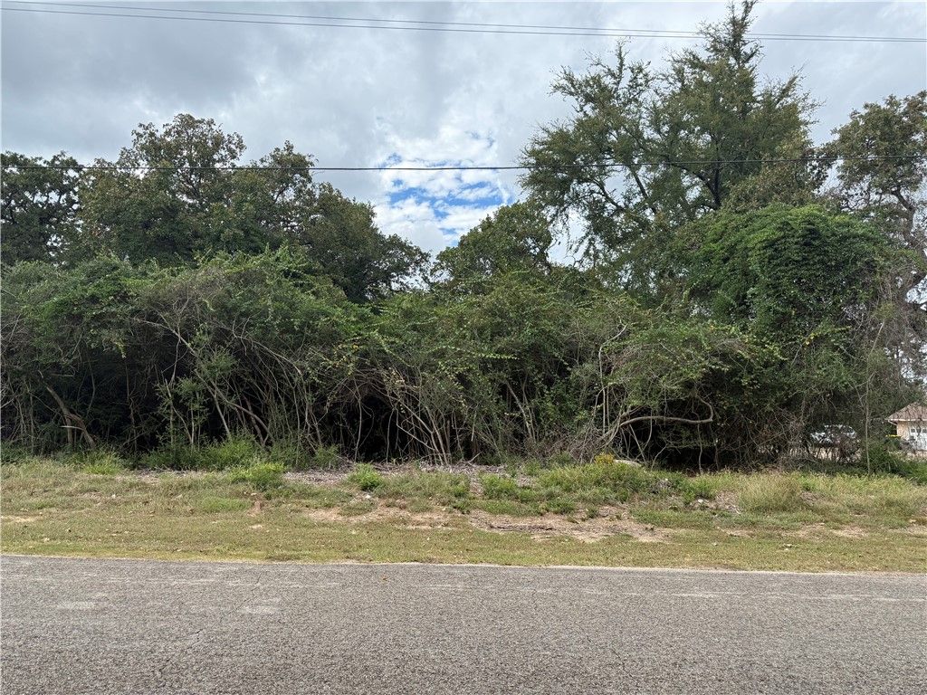 TBD North Golfview Drive, Normangee, TX 77871 — photo 2