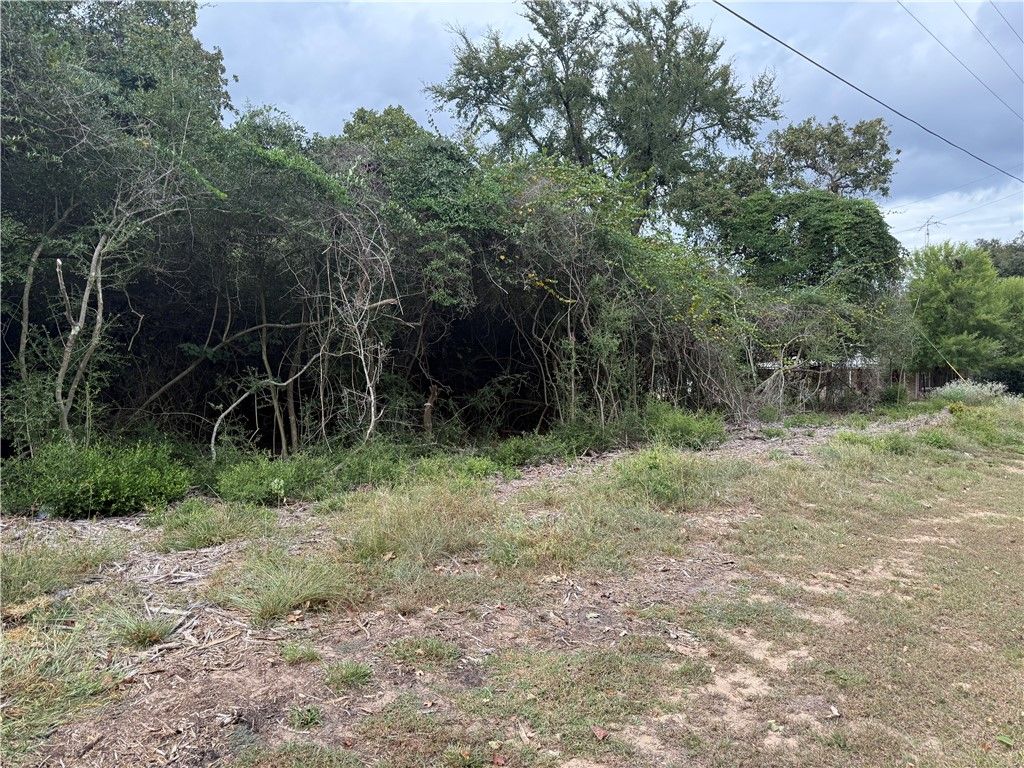 TBD North Golfview Drive, Normangee, TX 77871 — photo 3