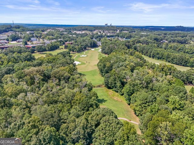 111 Royal Burgess Way, Mcdonough, GA 30253
