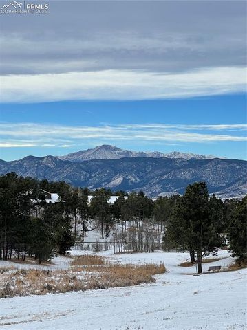 1185 Fawnwood Road, Monument, CO 80132