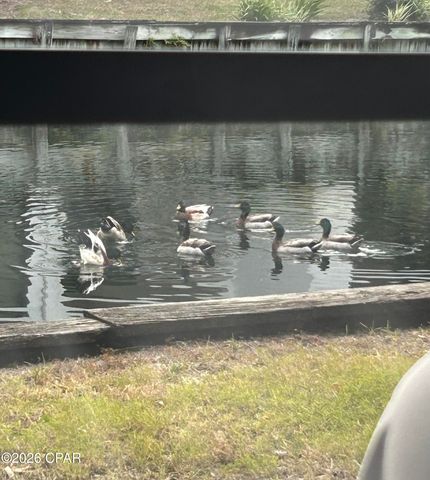 520 N Richard Jackson Boulevard 2203, Panama City Beach, FL 32407