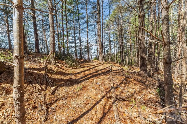 121 Lake Crest Drive lot 37 & 36, Nebo, NC 28761