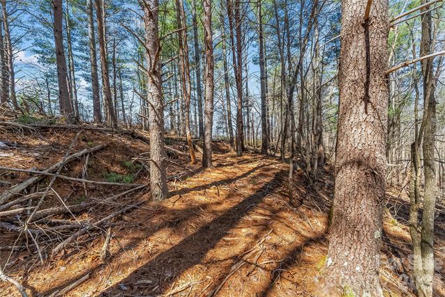121 Lake Crest Drive lot 37 & 36, Nebo, NC 28761