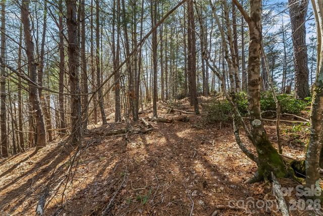 121 Lake Crest Drive lot 37 & 36, Nebo, NC 28761