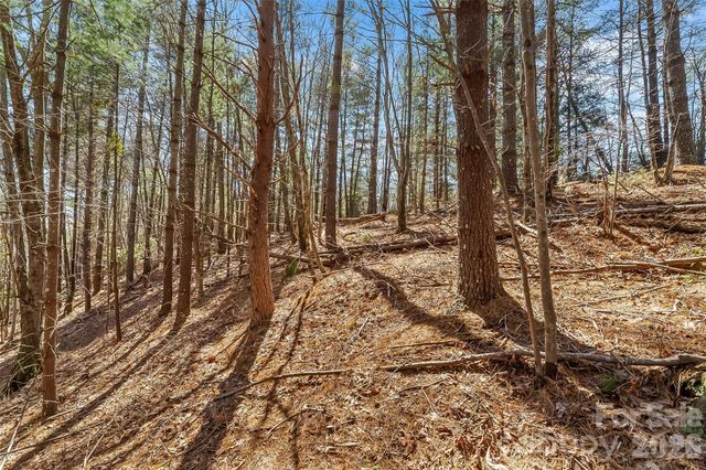 121 Lake Crest Drive lot 37 & 36, Nebo, NC 28761