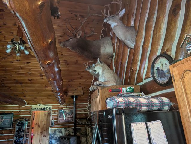 3144 W Maple Ridge Road, Twining, MI 48766