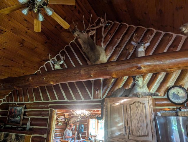 3144 W Maple Ridge Road, Twining, MI 48766