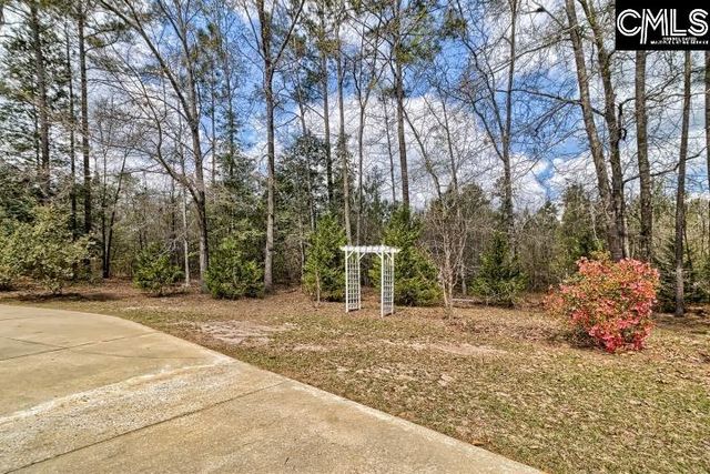 100 Sandy Run Court, Gaston, SC 29053