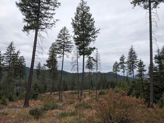 NKN Lot 2 Veit Rd, Newport, WA 99156