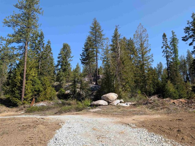 NKN Lot 2 Veit Rd, Newport, WA 99156