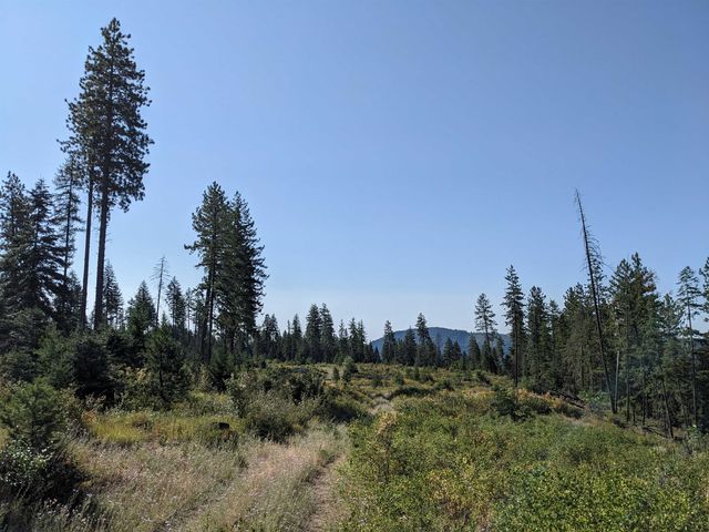 NKN Lot 2 Veit Rd, Newport, WA 99156