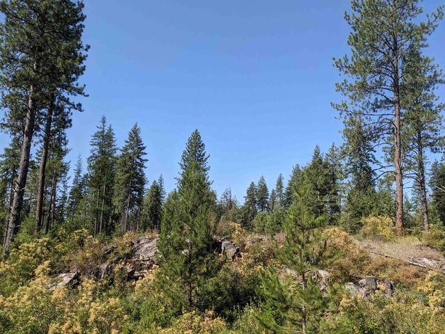 NKN Lot 2 Veit Rd, Newport, WA 99156