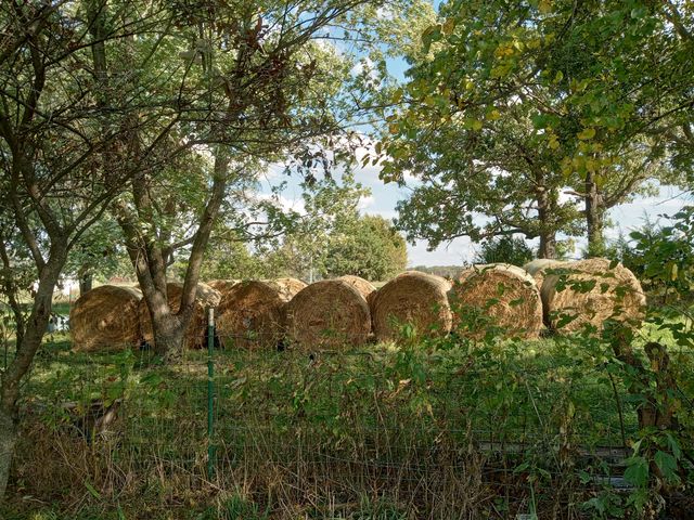 11 Concord Road, Buffalo, MO 65622