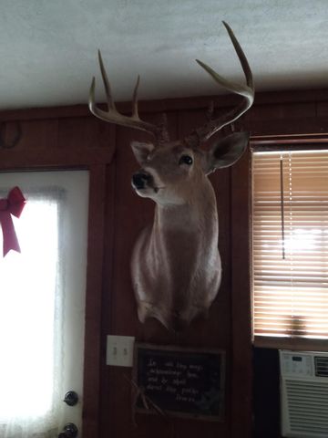 11 Concord Road, Buffalo, MO 65622