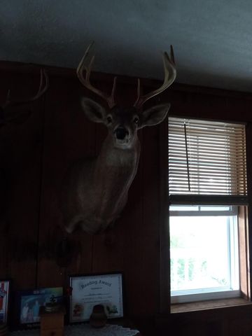 11 Concord Road, Buffalo, MO 65622