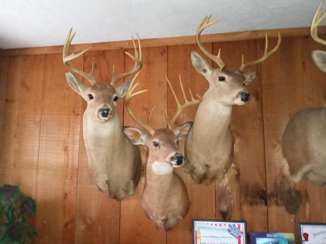 11 Concord Road, Buffalo, MO 65622