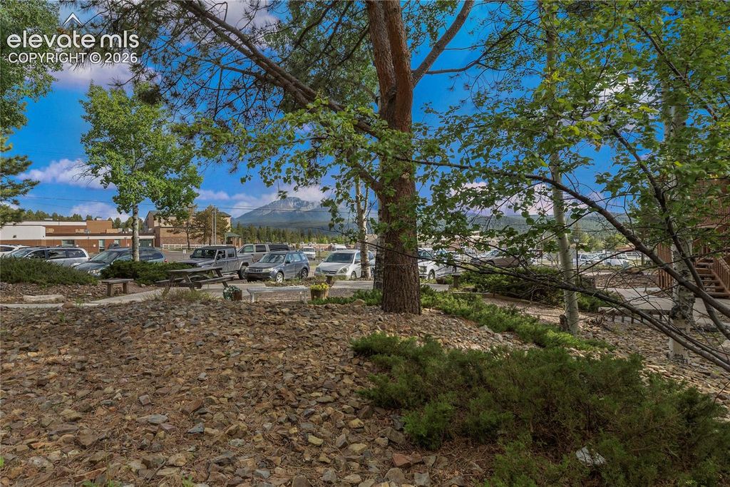 401 Forest Edge Road A1, Woodland Park, CO 80863 — photo 5