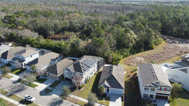 11403 QUIET FOREST DRIVE, Tampa, FL 33635