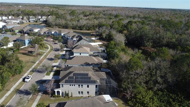 11403 QUIET FOREST DRIVE, Tampa, FL 33635