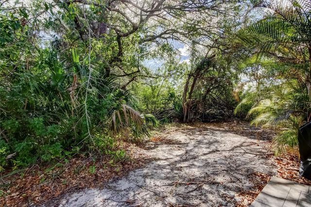 11403 QUIET FOREST DRIVE, Tampa, FL 33635